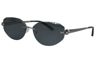 Окуляри EBERHARD 21089 C1