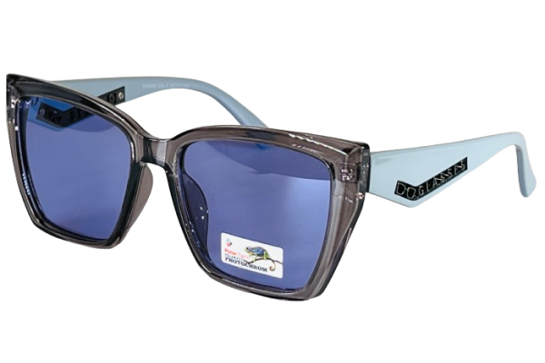 Очки Polar Photochrom PE09833 C6