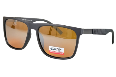 Окуляри Polar EAGLE PE8300 C6