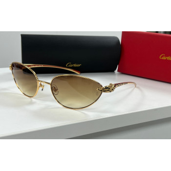 Окуляри с/з CT 0380 С4