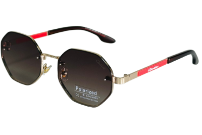 Окуляри с/з 52025 C3 Polarized