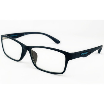 Очки компьютерные Ralph RP8144 C2